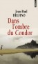 Dans l'ombre du Condor - Lucina, seize ans, a deux passions : la musique et la politique. Paulinho, vingt ans, rve de richesse et de femmes. -  Par Jean-Paul Delfino  - Roman - Jean-Paul DELFINO